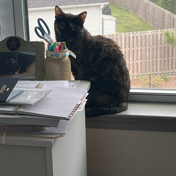 Meet your Posher, Rebecca - Picture 8 of 9